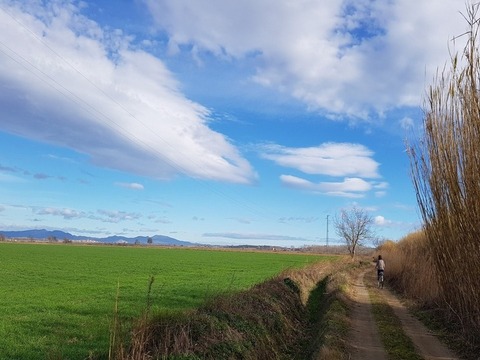 Cycling in the Empordà plain near Bellcaire d'Empordà and Torroella de Montgrí