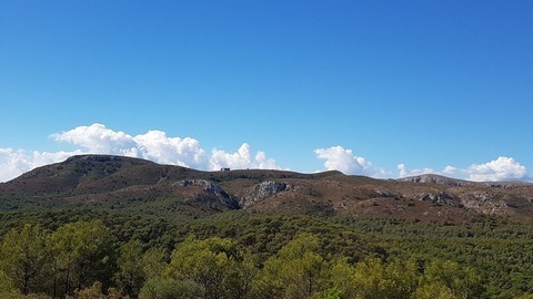 Empordà dune landscape near Mas Santa Caterina, Torroella de Montgrí, Costa Brava